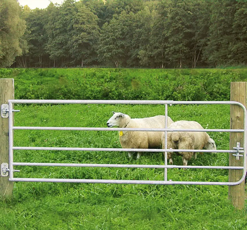 Expressversand Weidetore verstellbar für Schafe und Rinder, 90 cm