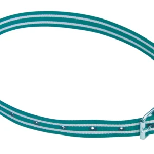 Halsmarkierungsband Premium grün/weiß mit Rollschnalle Expressversand