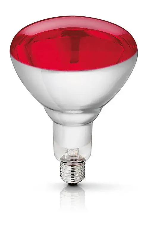Preisreduziert PHILIPS Hartglas-Infrarotlampe rot, 150 W