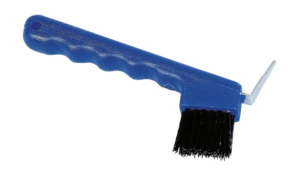 Billig Hufauskratzer mit Bürste blau