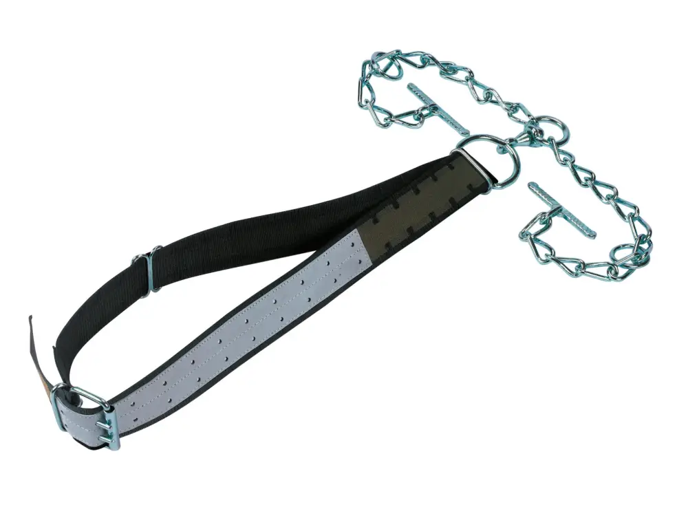 Neu Bullenanbindung Top Quality Kettenteil doppelt mit Wirbel, D-Ring und Knebel, 170 x 7 cm