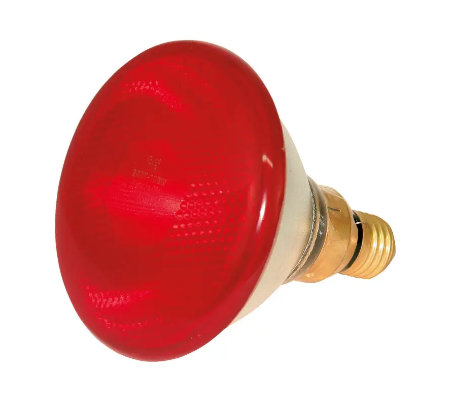 Preisreduziert Infrarot-Sparlampe rot, 100 W