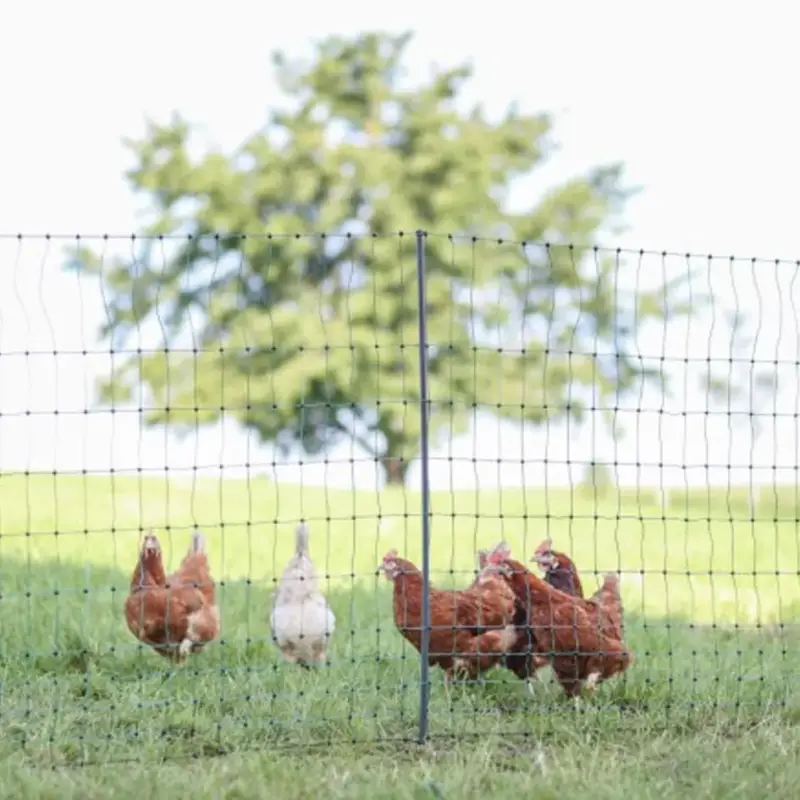 AKO PoultryNet Geflügelnetz Premium elektrifizierbar grün Doppelspitze, 106 cm x 50 m Begrenztes Angebot