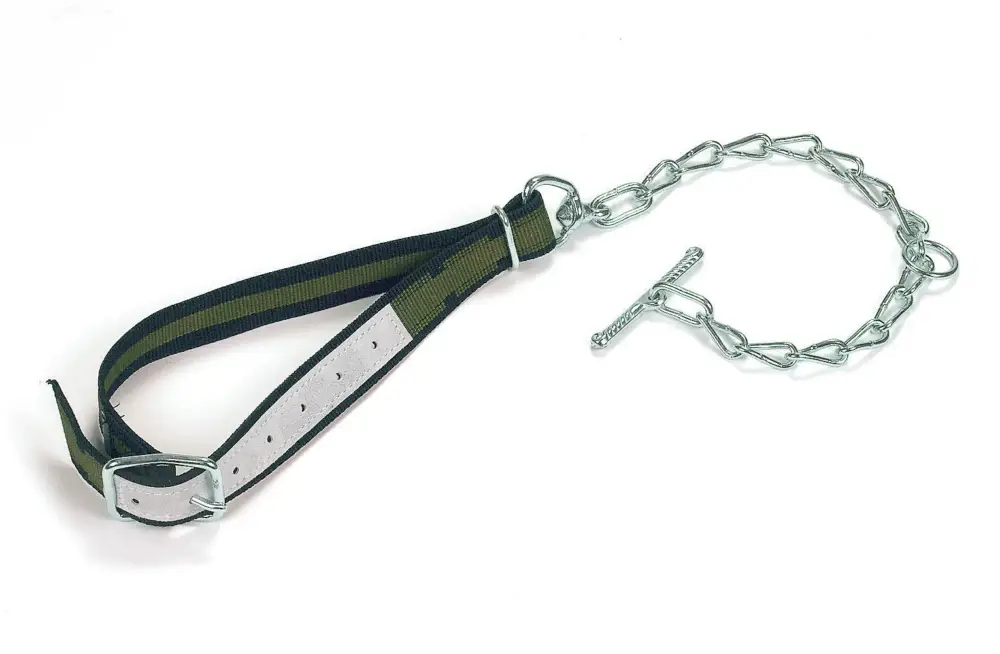 Kälberanbindung Top Quality komplett 85 x 4 cm Kracherpreis