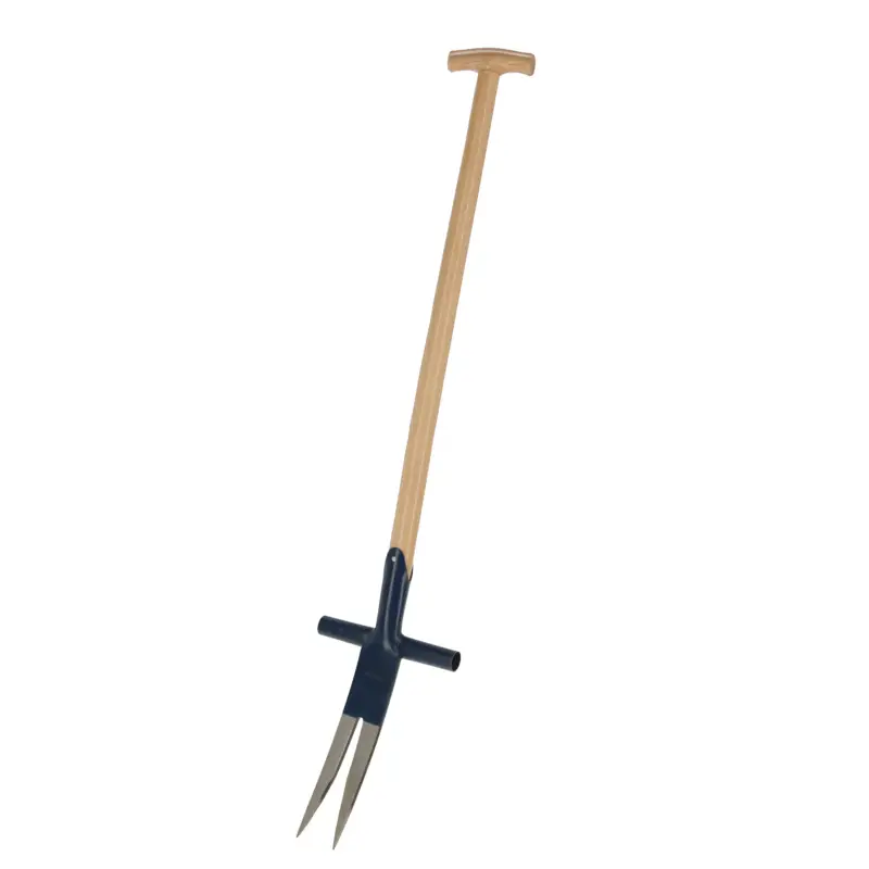 Ampferstecher Neue Kollektion