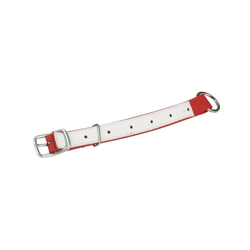 Halsriemen für Schafe rot 60 x 2,5 cm Sale