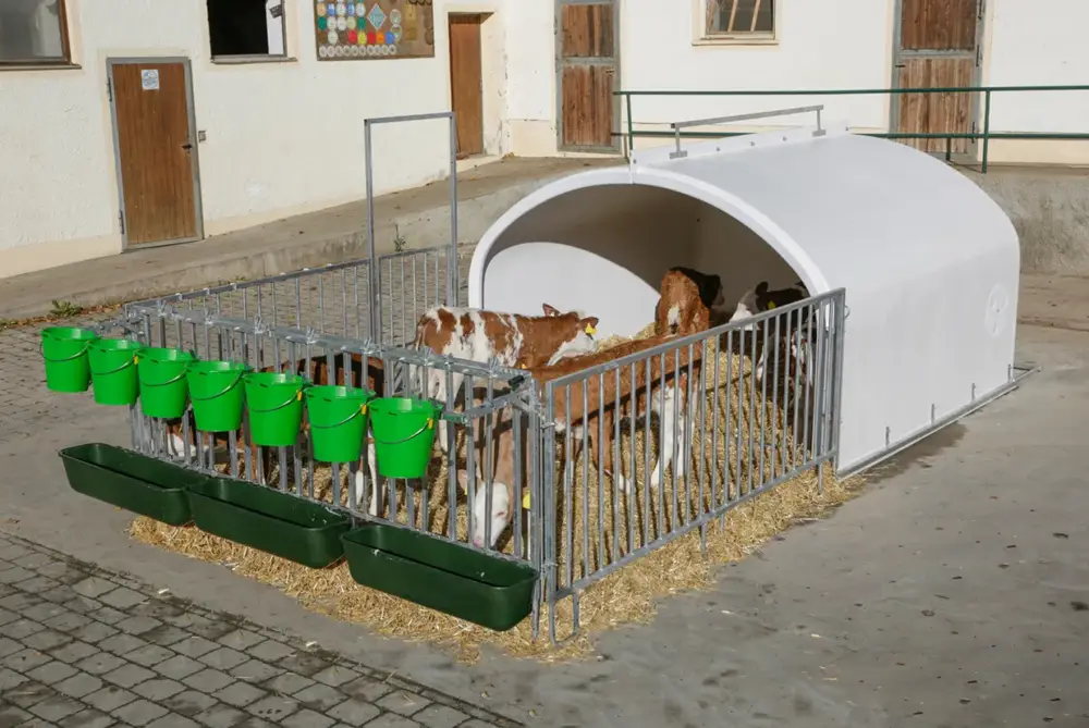 Kälberhütte CalfHouse Premium XXL mit Umzäunung Knallerangebot