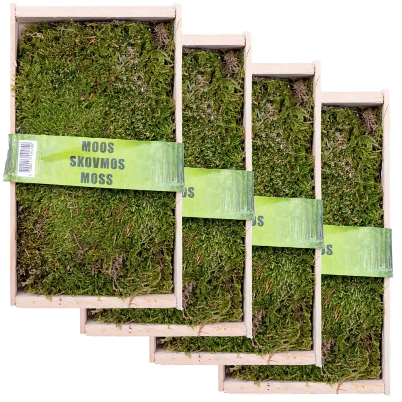 Meistverkauft Waldmoos in der Holzkiste, ca. 25x13x7 cm, 4er-Set