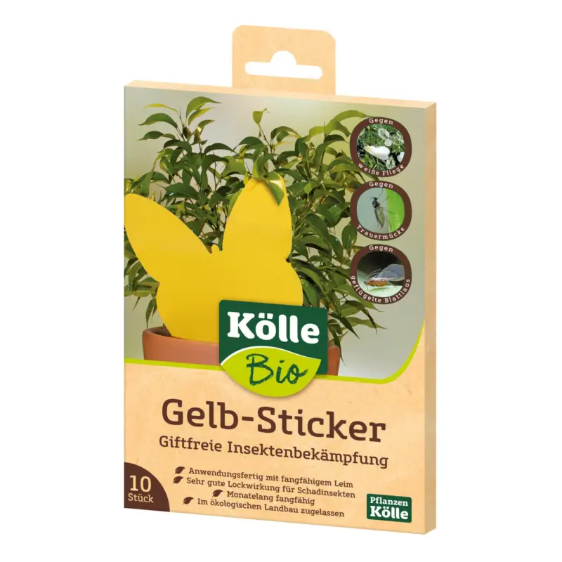 Billig Kölle Bio Gelb-Sticker 10 Stück
