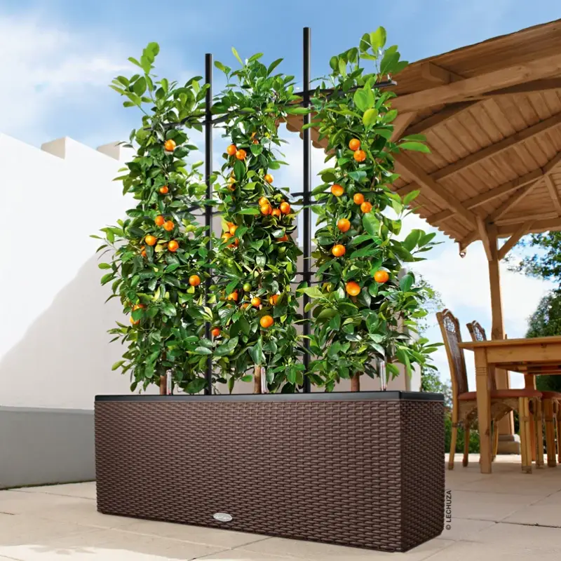 Lechuza 'Trio Cottage 30', mokka, ca. 100 x 32 x H 34 cm Sonderangebot