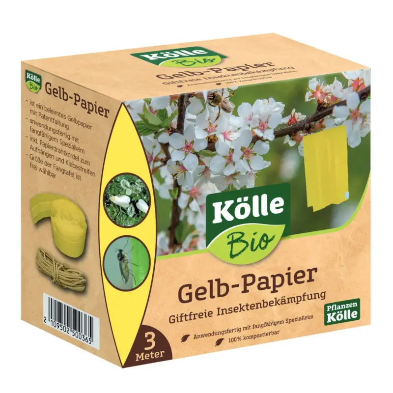 Begrenztes Angebot Kölle Bio Gelb-Papier, 3 m