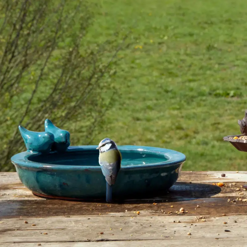 Super-Preis Vogeltränke rund M, petrol, Keramik