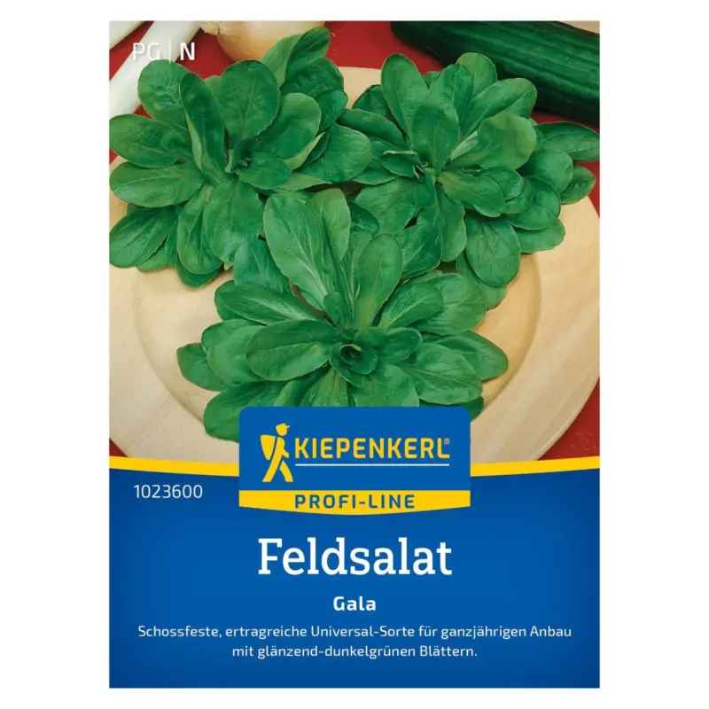Gemüsesamen, Feldsalat 'Gala Tolerant' Echt