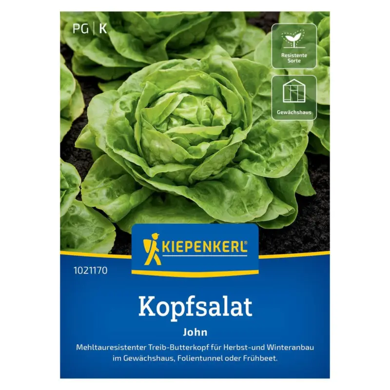 Zertifiziert Gemüsesamen, Salat 'John Tolerant'