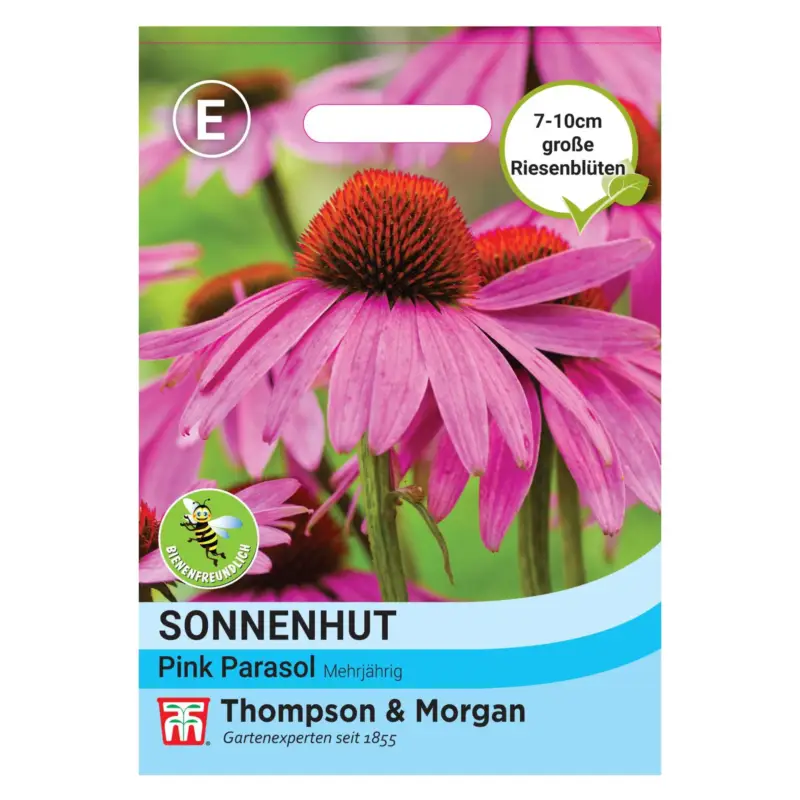 Thompson & Morgan Sonnenhut 'Pink Parasol' (Echinacea) Direktkauf