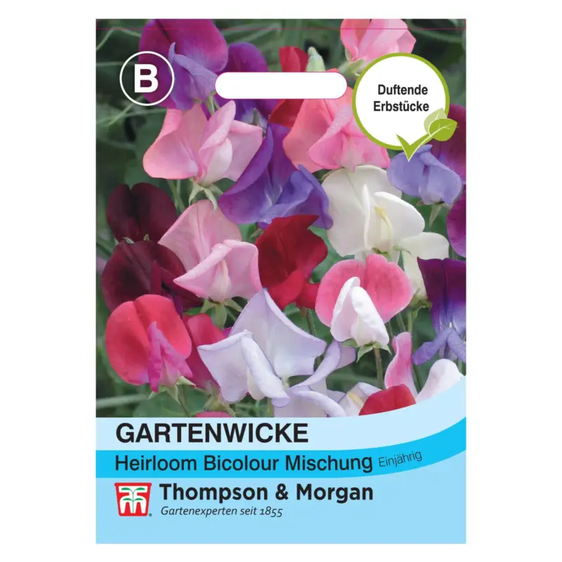 Thompson & Morgan Gartenwicke 'Heirloom Bicolour Mischung' Echt