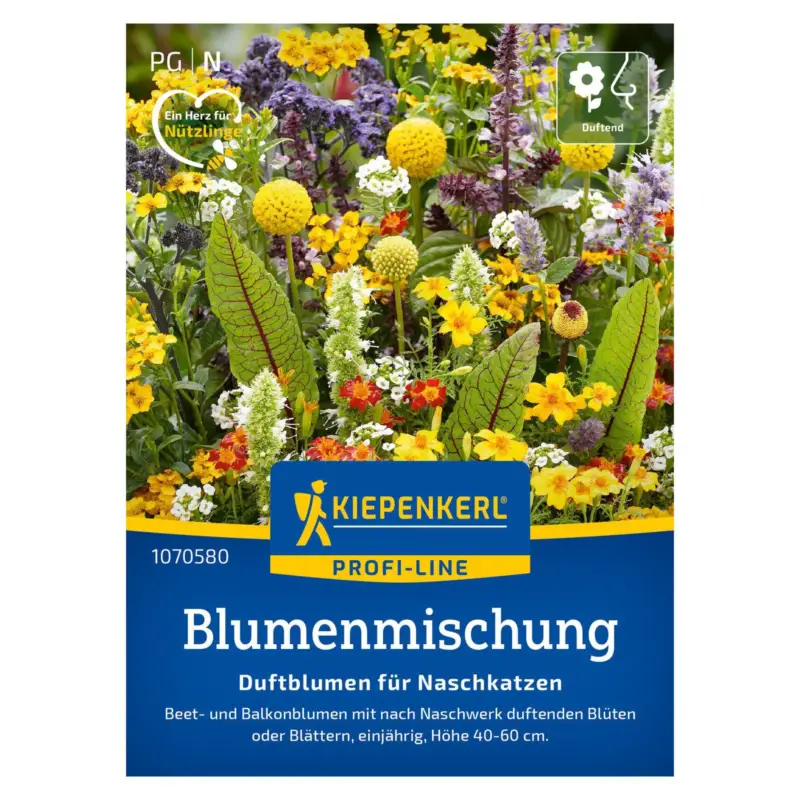 Blumensamen 'Duftblumen für Naschkatzen', bunt Abverkauf