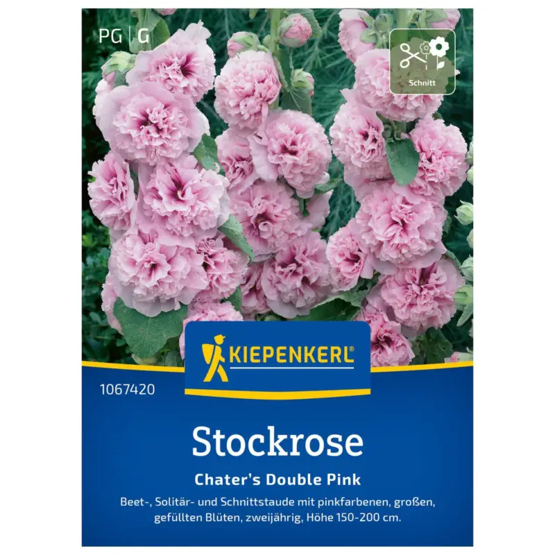 Blumensamen, Stockrose 'Chaters Pink', pink Neu