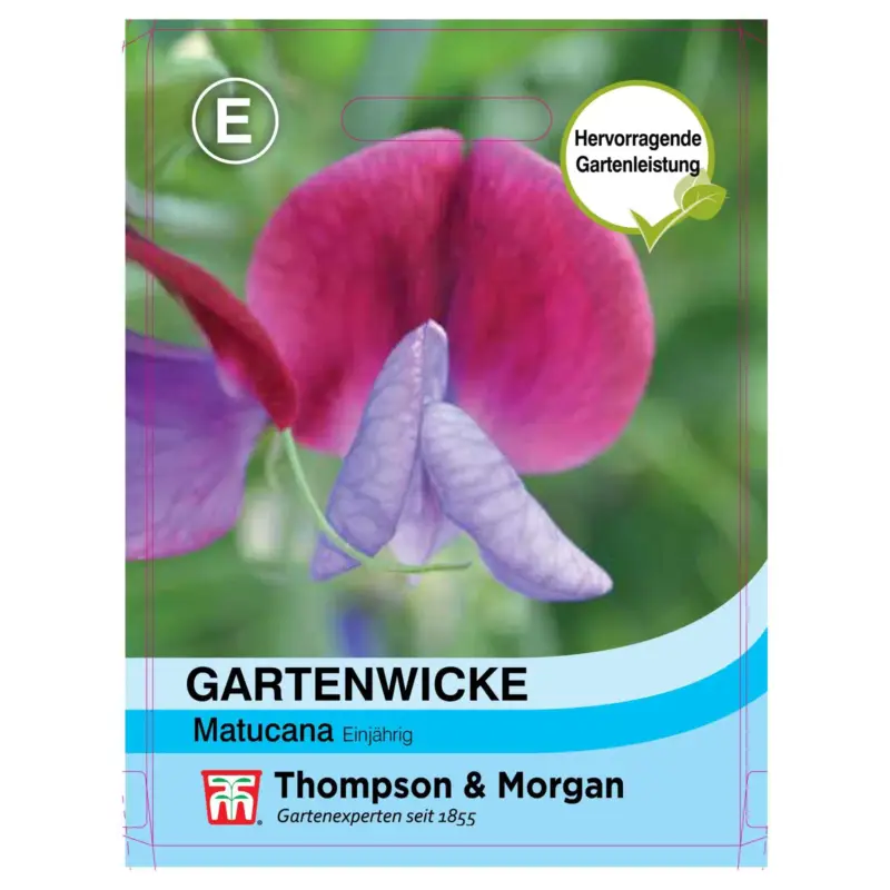 Top-Angebot Thompson & Morgan Blumensamen Gartenwicke "Matucana"