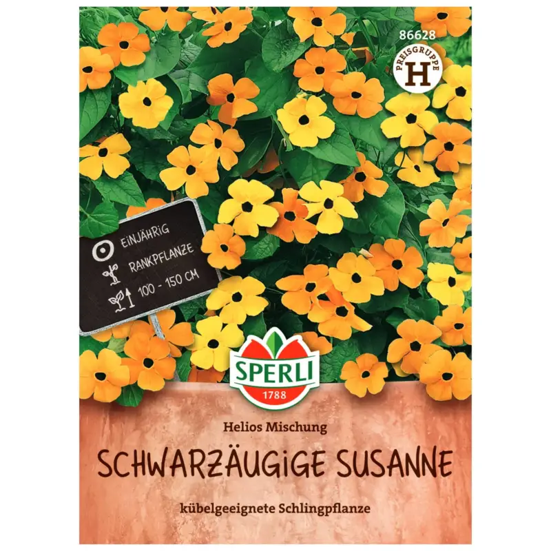 Blumensamenmischung, 'Schwarzäugige Susanne' Bestpreis