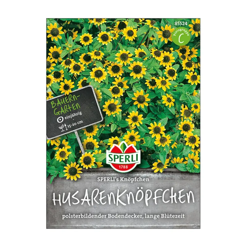 Blumensamen, Husarenknopf Knöpfchen Expressversand