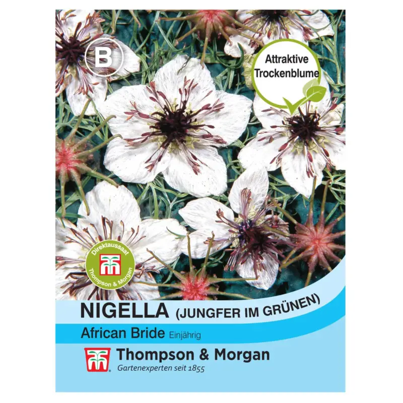 Thompson & Morgan Blumensamen Nigella (Jungfer im Grünen) African Bride Schneller Versand