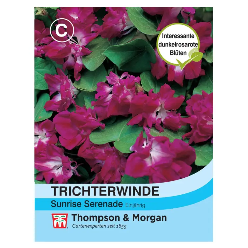 Bestseller Thompson & Morgan Blumensamen Trichterwinde Sunrise Serenade
