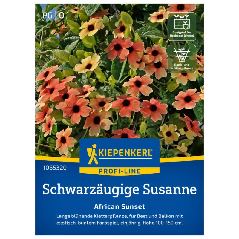 Neuheit Blumensamen, Schwarzäugige Susanne 'Afr. Sunset', rot