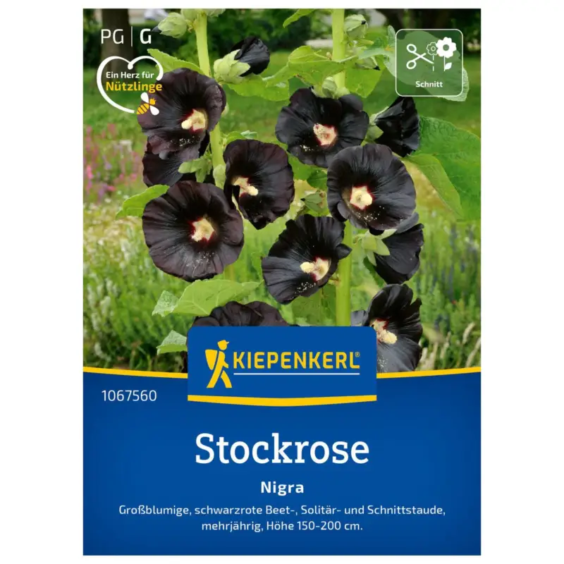 Blumensamen, Stockrose 'Nigra', schwarzrot Super-Preis