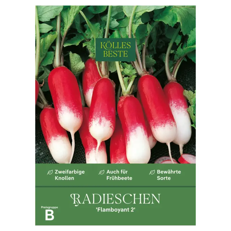 Kölles Beste Gemüsesamen, Radieschen 'Flamboyant 2' Bestseller