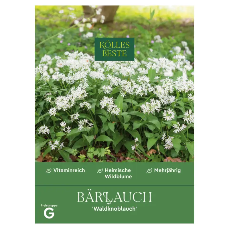 Kölles Beste Bärlauch/Allium/Ursinum, 7 g Neue Ware