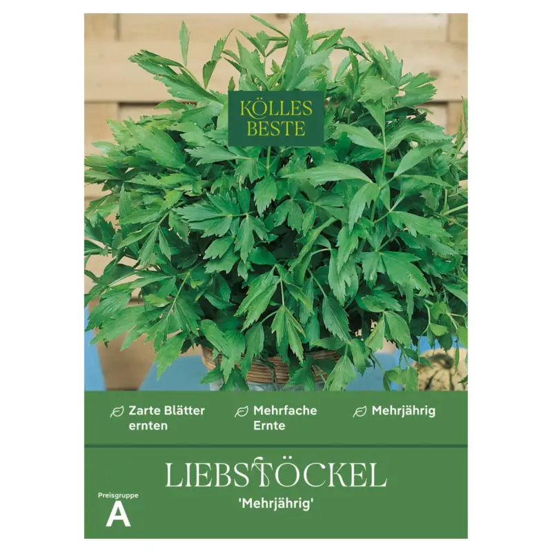 Saisonangebot Kölles Beste Kräutersamen, Liebstöckel 'Mehrjährig'