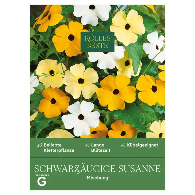 Markenware Kölles Beste Blumensamen, Schwarzäugige Susanne 'Mischung'