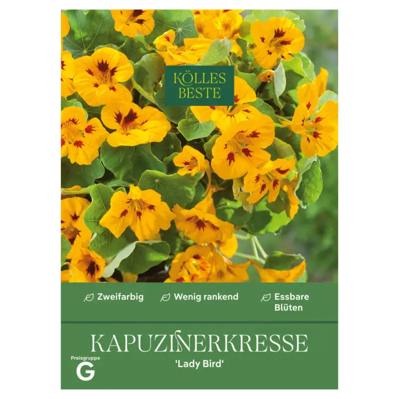 Kölles Beste Blumensamen, Kapuzinerkresse 'Lady Bird' Angebot