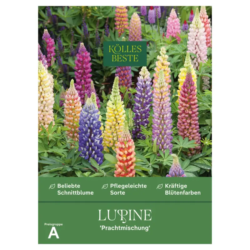 Kölles Beste Blumensamen, Lupine 'Prachtmischung' Preisknaller