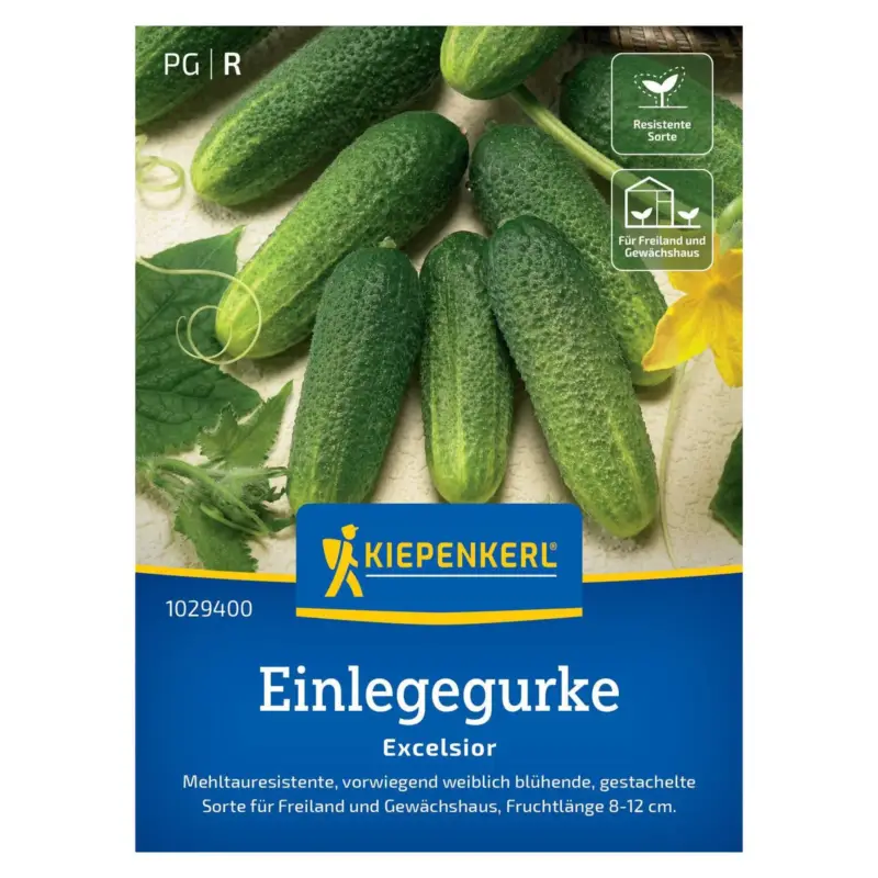 Begrenztes Angebot Gemüsesamen, Einlegegurken 'Excelsior', grün