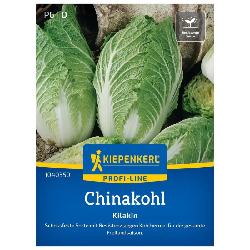 Begrenztes Angebot Gemüsesamen, Chinakohl 'Kilakin', grün