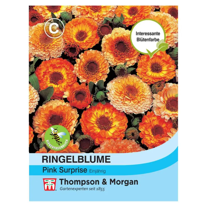 Zertifiziert Ringelblume (Calendula officinalis) Pink Surprise