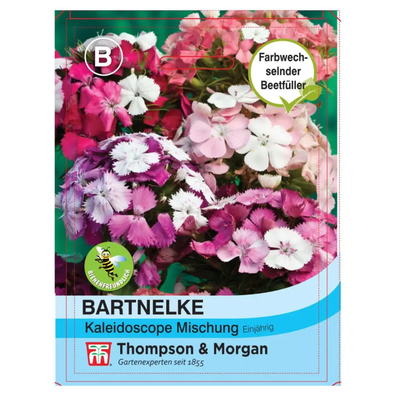 Bartnelke (Dianthus barbatus) Kaleidoscope Mixed / einjährig, bunt, Schnittblume Online Kaufen