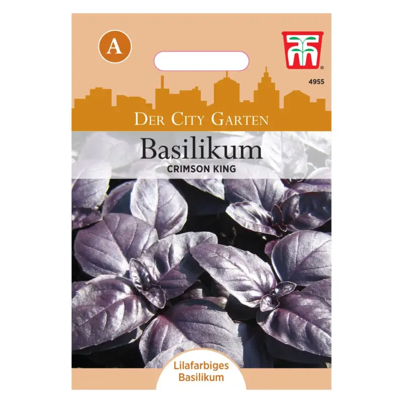Neu Basilikum Crimson King / essbar, lila, kräftiger Geschmack