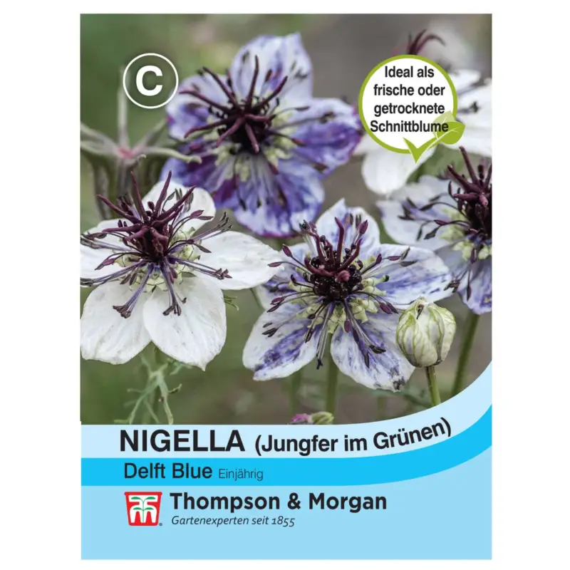 Markenprodukt Nigella (Jungfer im Grünen) Delft Blue / einjährig, auffällig, blau-grau