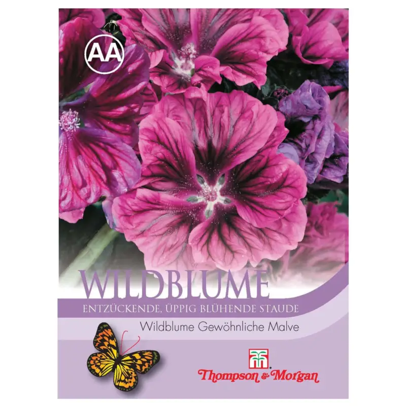 Wildblume Gewöhnliche Malve / mehrjährig, pflegeleicht, üppig Letzte Chance