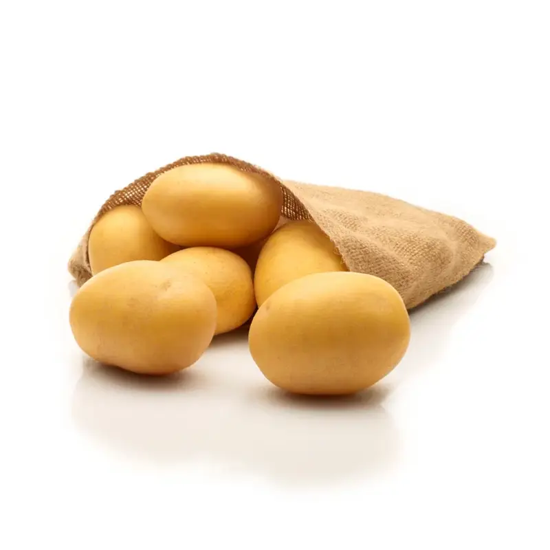 Günstig Pflanzkartoffel "Lilly", mittelfrühe Kartoffel, 2,5 kg