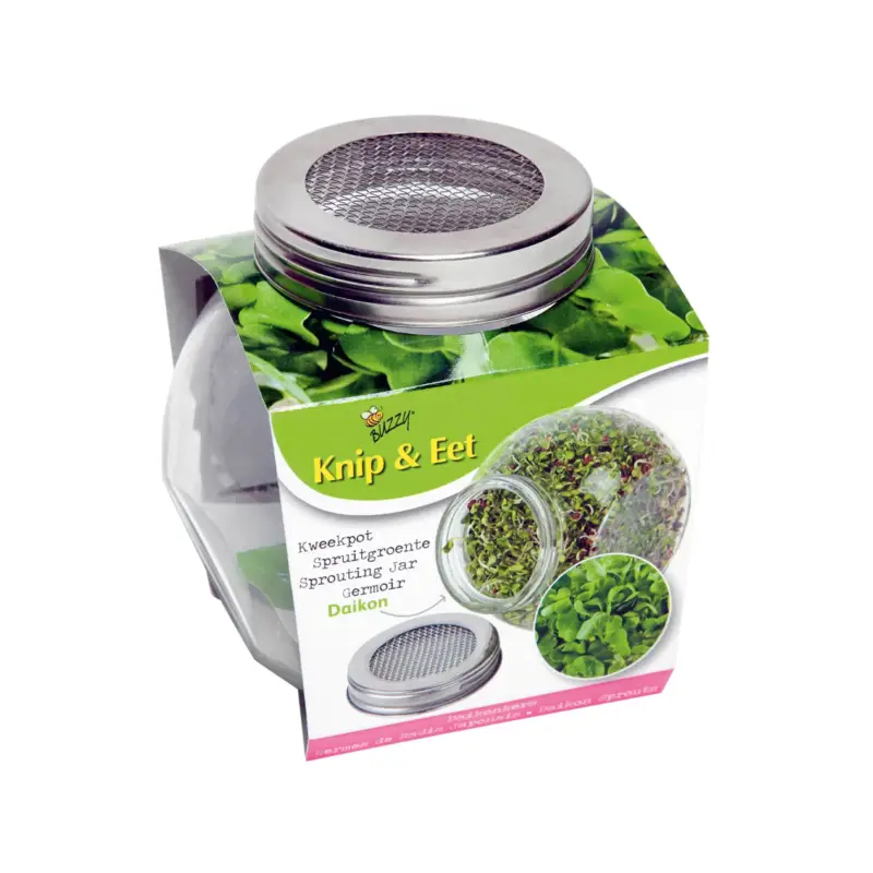 Buzzy Bio Sprossenglas Daikon Rettich Top-Angebot