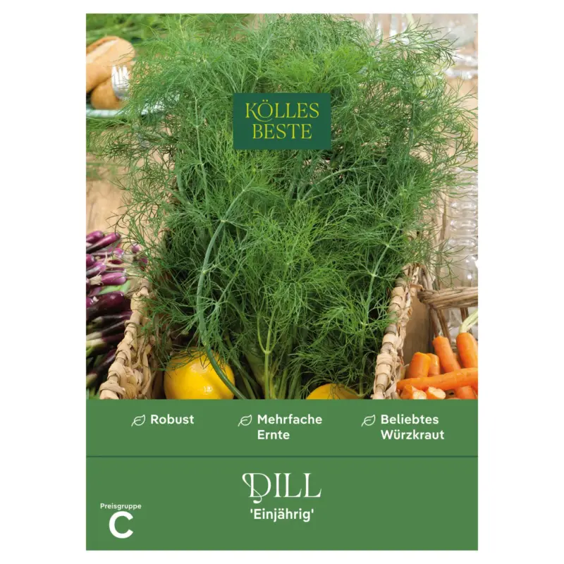 Letzte Chance Kölles Beste Kräutersamen Dill einjährig
