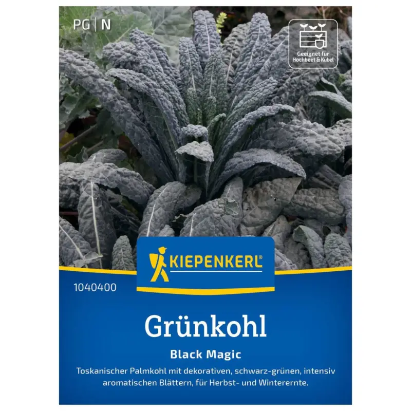 Sale Gemüsesamen, Grünkohl 'Black Magic', grün