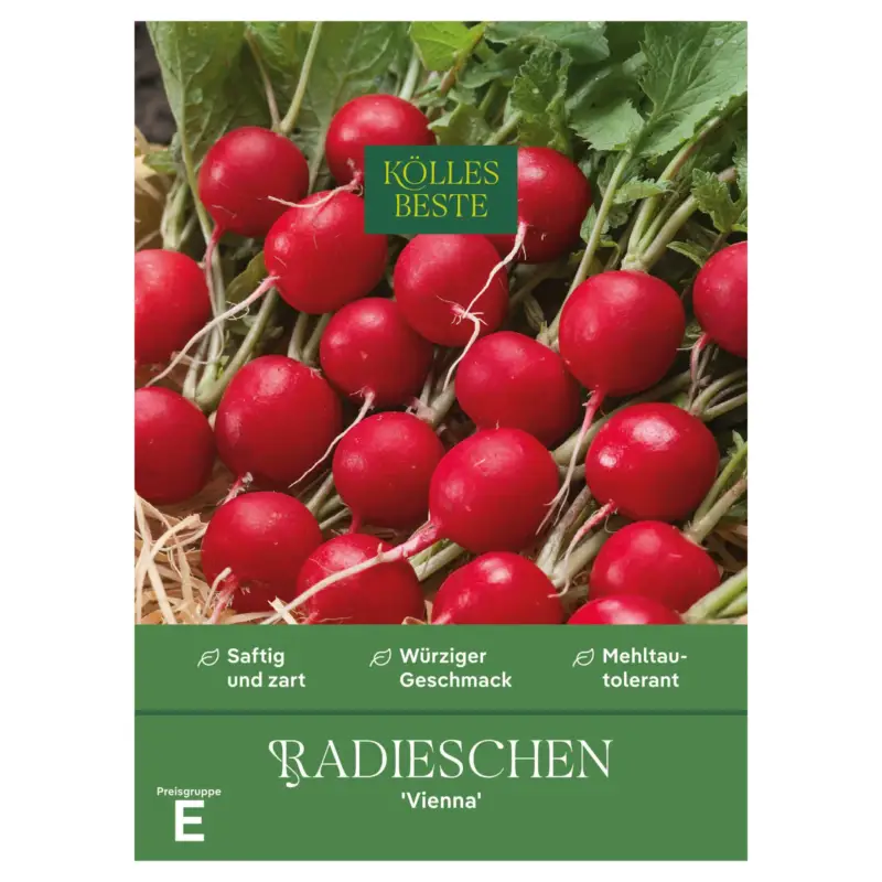 Neue Kollektion Kölles Beste Gemüsesamen, Radieschen 'Vienna'