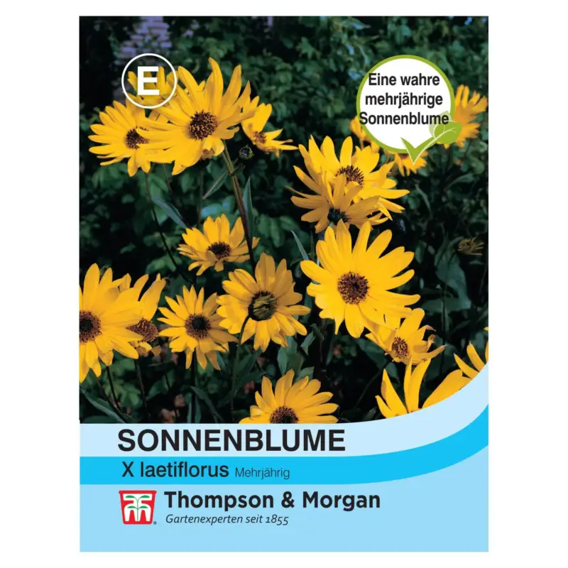 Thompson & Morgan Blumensamen Sonnenblume Helianthus X Laetiflorus Online Kaufen