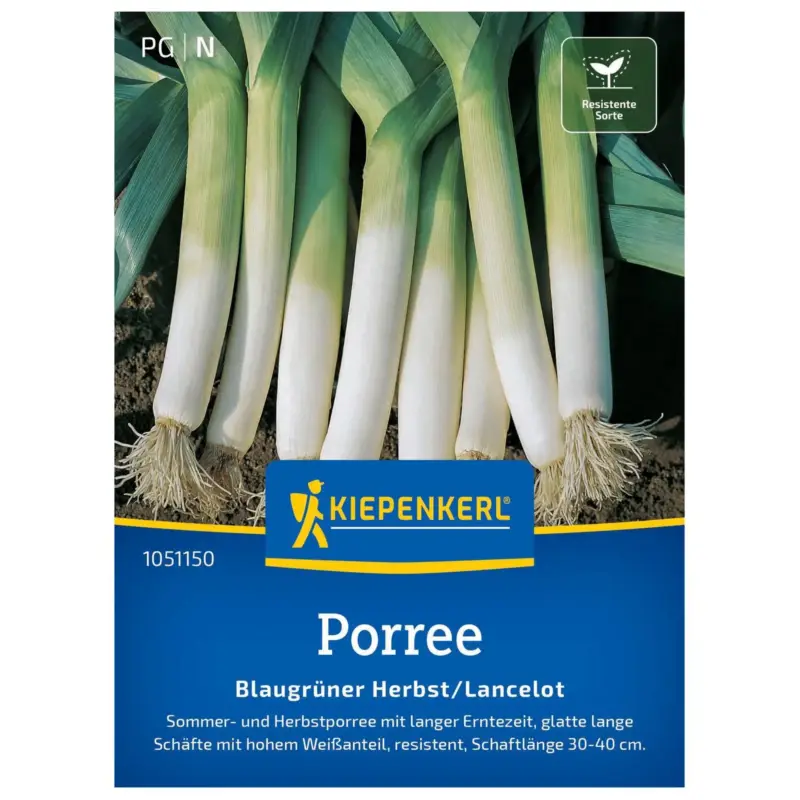 Bestpreis Gemüsesamen, Porree 'Blaugrüner Herbst', weiß