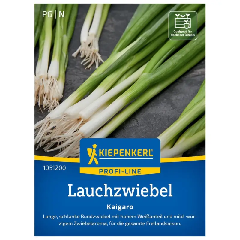 Neue Kollektion Gemüsesamen, Lauchzwiebel 'Kaigaro', grün